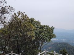 -广州市帽峰山景区