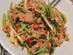 香菜炒牛肉-壹盏灯(蚂蚁工房店)