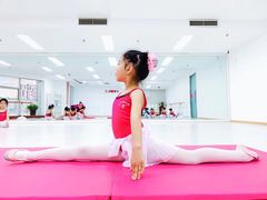 -小芳舞蹈团·少儿舞蹈·中国舞(龙江校区)