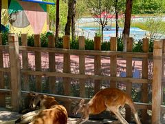 -水上乐园·欢乐世界