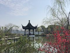 -苏州上方山国家森林公园