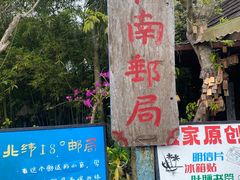 -亚龙湾热带天堂森林公园