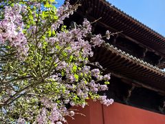 -正定古城-开元寺