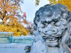 景点-北京石刻艺术博物馆(五塔寺)