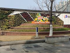 -西北湖绿化广场