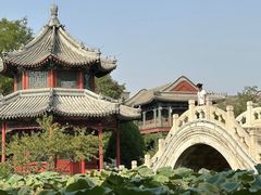 -莲池书院博物馆
