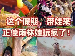 -正佳雨林生态植物园