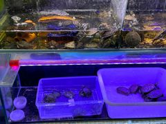 -三旗百汇商品城