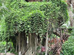 -云南民族村