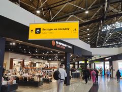 -谢列梅捷沃国际机场