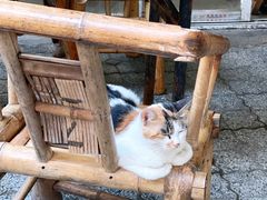 -三哥田螺(北书院街店)
