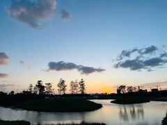 -春花秋色城市公园