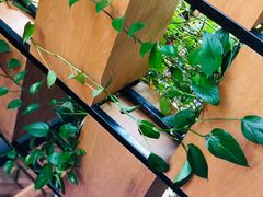 -暹罗酒肆泰餐厅酒吧