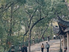 -灵岩山风景区