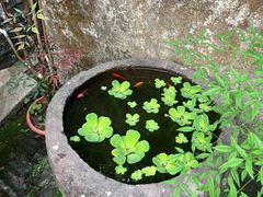 -三溪村