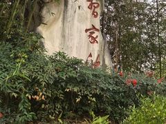 -习家池