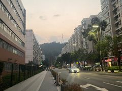 -壹只卤鹅·潮汕菜(莲塘店)