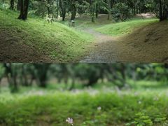 -杭州植物园