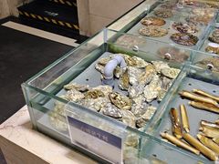 -旺顺阁海鲜广场(亚运村店)