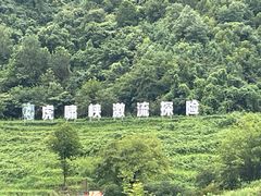 -虎啸峡漂流