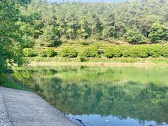 -九龙潭景区