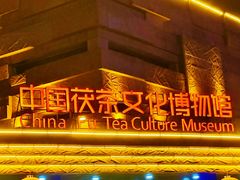 -茯茶镇