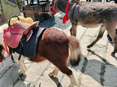 -茅山东方盐湖城景区