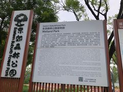 -东郊湿地公园