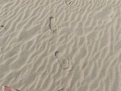 -西涌国际滨海旅游区