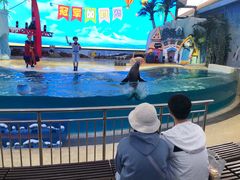 -三亚海昌梦幻海洋不夜城