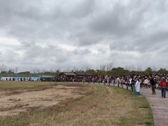-盐城丹顶鹤湿地生态旅游区