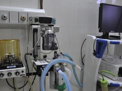 -爱侣宠医·鹦鹉专科·小型哺乳类·异宠专科(灵石路店)