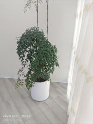 -HEYAN荷妍专业脱毛连锁机构