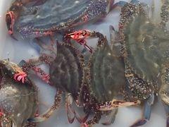 -岚桥锦江大酒店-瑞泰西餐厅