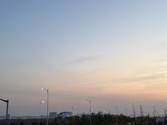 -南汇嘴观海公园