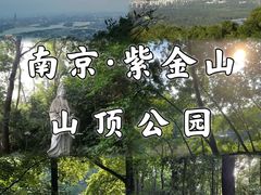 -紫金山山顶公园
