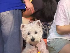 -笨罗卜浏阳菜馆(龙华鹏润达店)