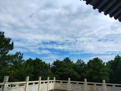 -铁山坪森林公园