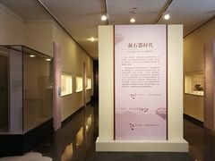 -北京大学赛克勒考古与艺术博物馆