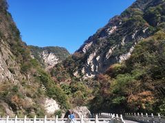 -陕西省红河谷森林公园
