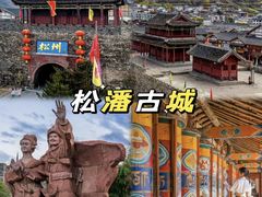 -CGV影城(壹方城IMAX店)