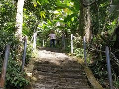 -七仙岭温泉国家森林公园