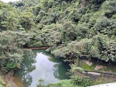 -鼎湖山风景区