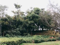 -深圳湾公园(南山区)
