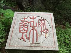 -阳台山自然风景区