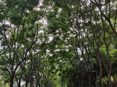 -肖肖酸萝卜鱼火锅(总店)