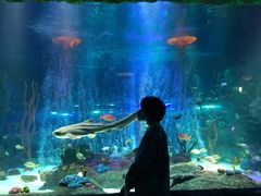 -沈阳海洋探索中心