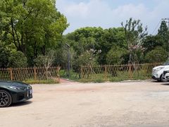 -马陆小张葡萄园农家乐