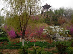 -山东理工大学