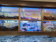 -南海渔村(珠江新城店)